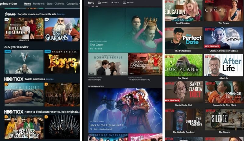Digital streaming platforms - Neflix, Hulu and Prime Videos
