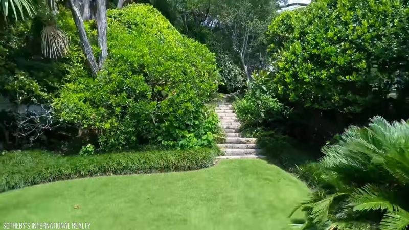 Stone steps surrounded by dense green foliage in Bill Gates' landscaped backyard.