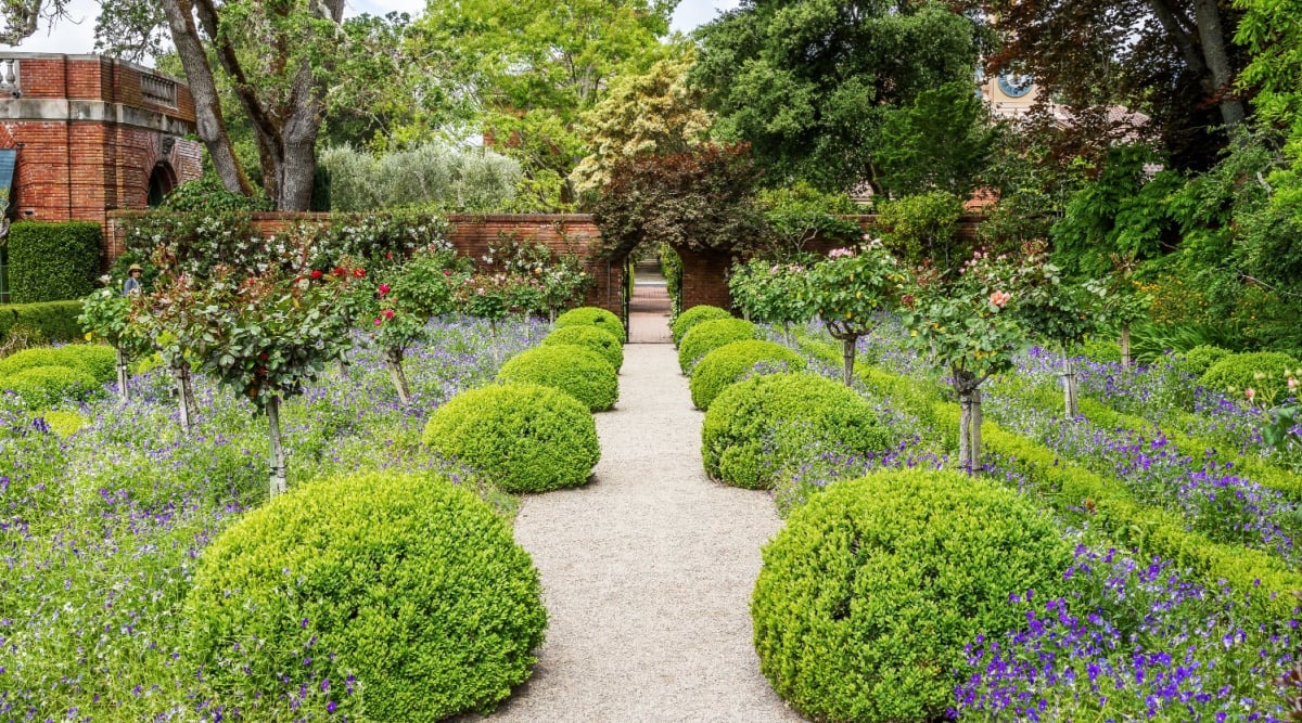 Pathways in yard