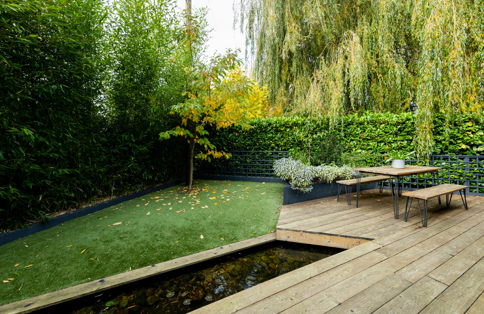 Low Maintenance Garden