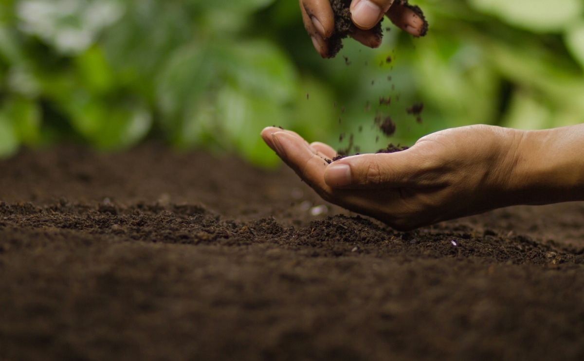 Soil Health is the Secret Ingredient