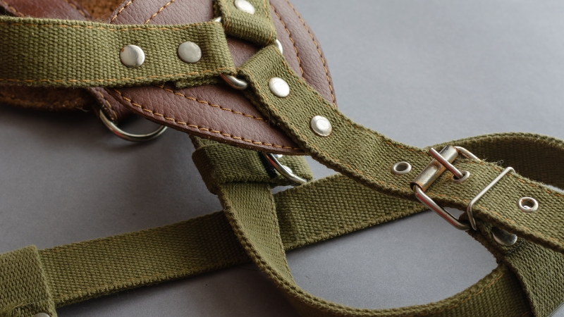 Close-up of a dog harness used to show safety in the dog harness vs collar debate