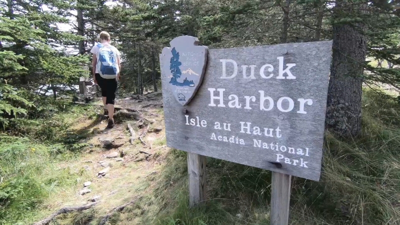 Duck Harbor Campground sign on Isle au Haut in Acadia National Park beside a forest trail