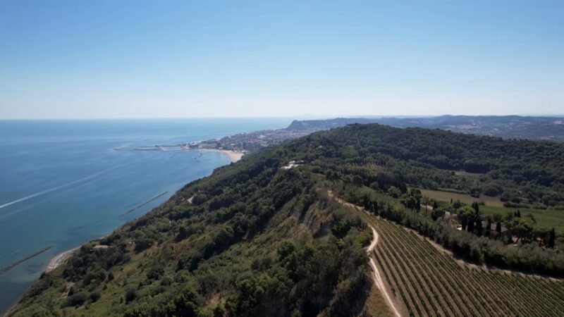 Coastal hills and vineyards in Le Marche overlook the Adriatic Sea.